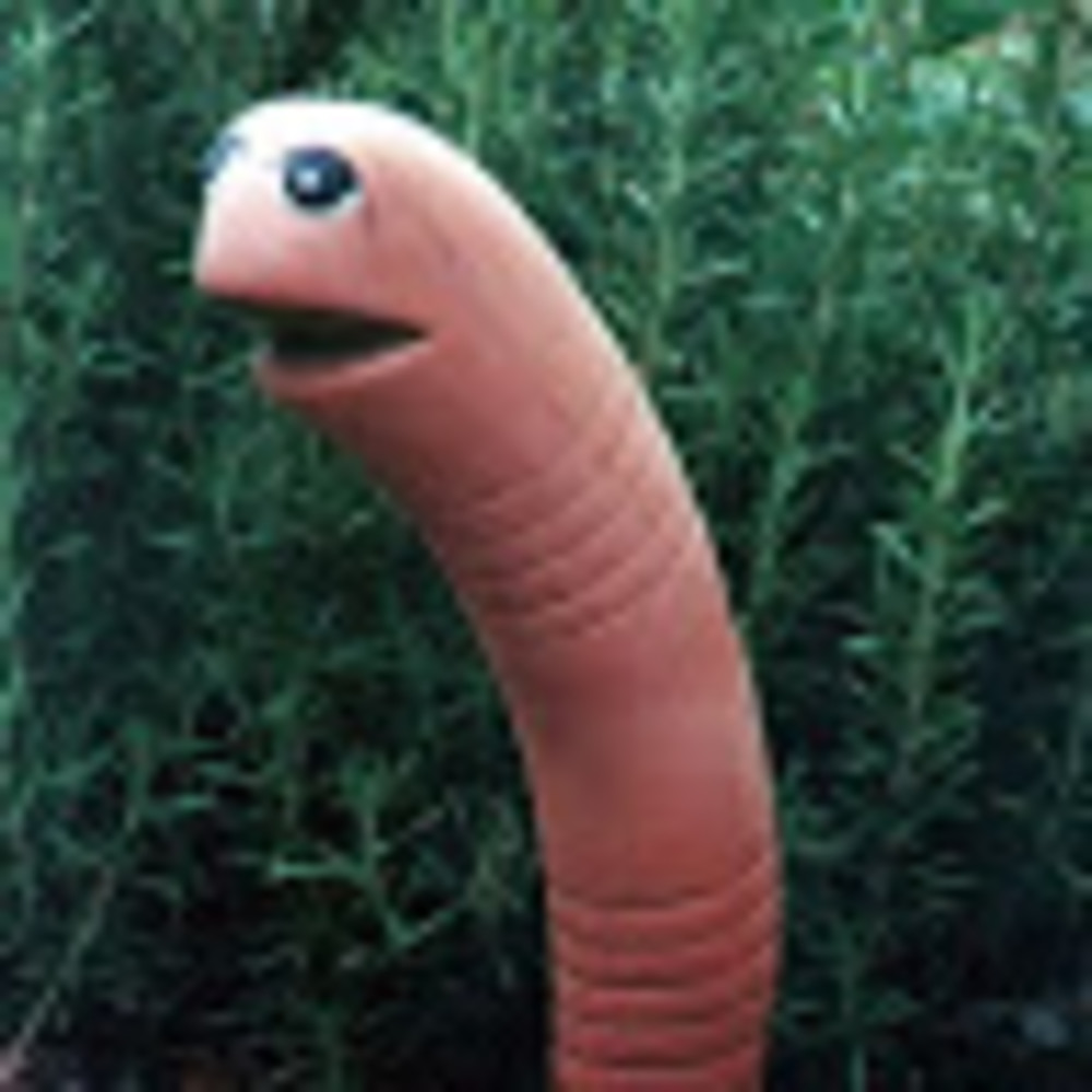 Meet your Posher, Christopher